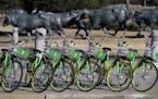 In this Feb. 8, 2018 photo, shared bikes ready to be used are lined up on a sidewalk by a popular tourist destination in Dallas. Shared bikes that can