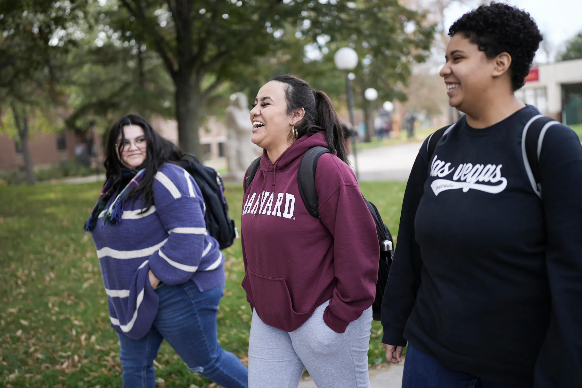 In Morris, regent's comments on diversity at the University of ...