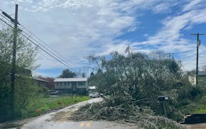 A tree covers a road after severe storms hit Tuesday, April 2, 2024, in Cross Lanes, W.Va.
