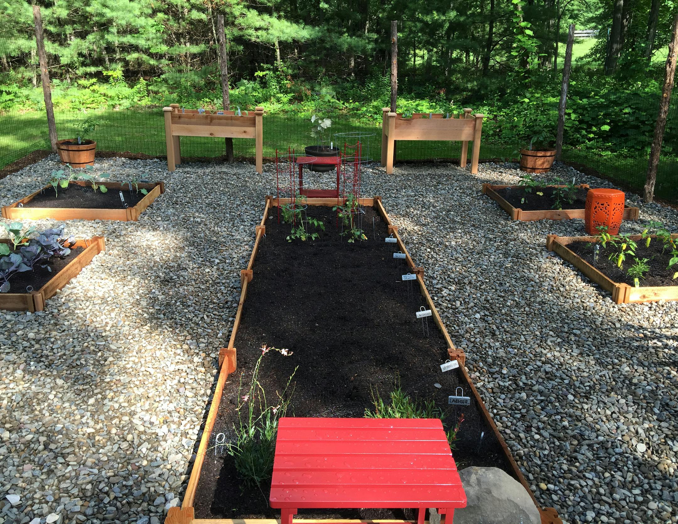 A vegetable garden is a great summer family DIY project. (handout/TNS) ORG XMIT: 1185976