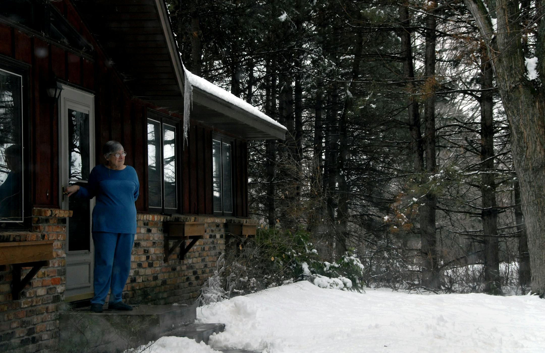 Mary Jo Meadow loves the woods that abut her home, which she likens to having a private retreat center.