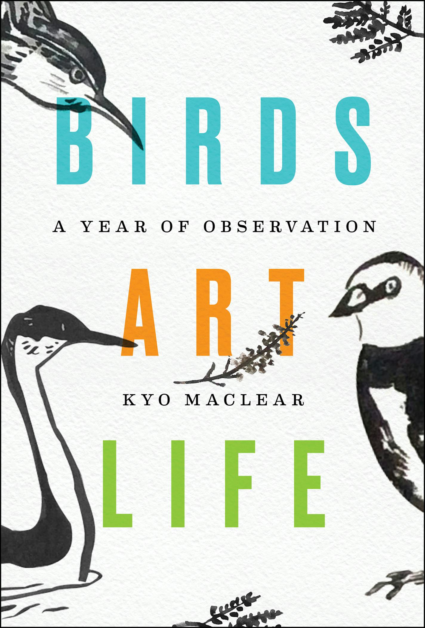 "Birds Art Life," by Kyo Maclear