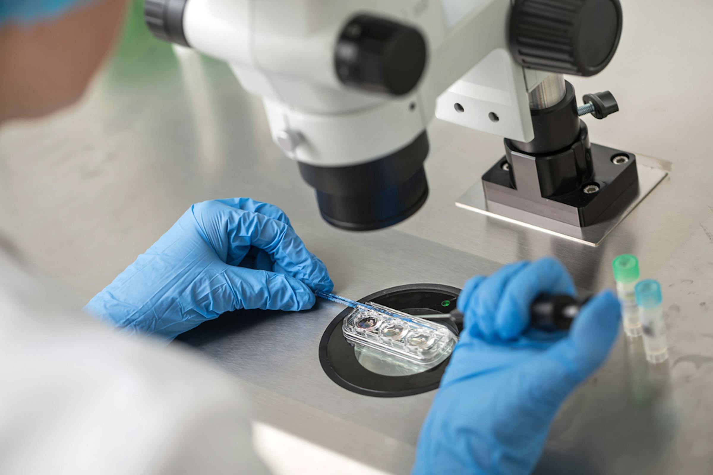 startribune.com - Riley Beggin - White House has no plan to mandate IVF care, despite campaign pledge