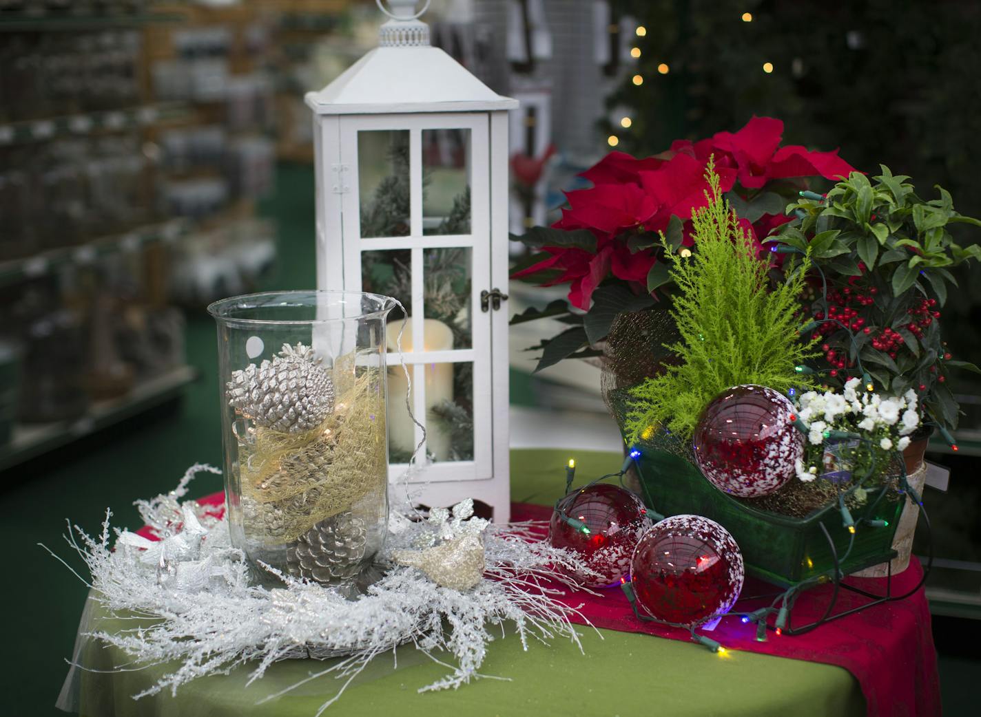 Festive lighting vignettes using potted plants, ornaments and lights at Gertens on Wednesday, December 2, 2015, in Inver Grove Heights, Minn. ] RENEE JONES SCHNEIDER &#x2022; reneejones@startribune.com