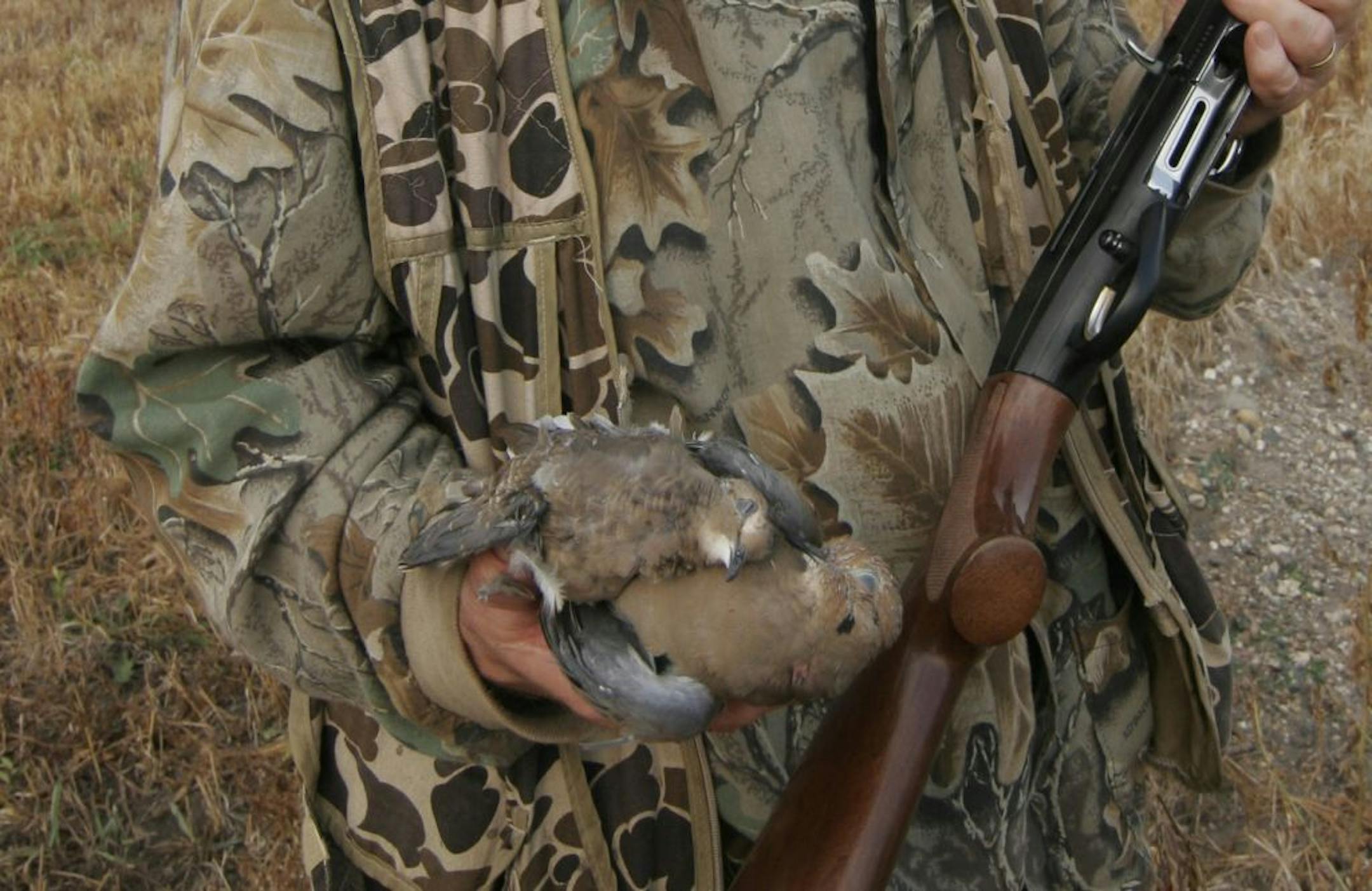 Sept. 1, 2011; near Appleton, Mn. Mike Smith of Cologne holds a couple of mourning doves he bagged during the season opener on Thursday.