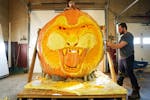 Michael Rudolph carved a 2,350-pound pumpkin grown by Travis Gienger into a Tiger Friday at Gienger's home in Anoka, Minn.