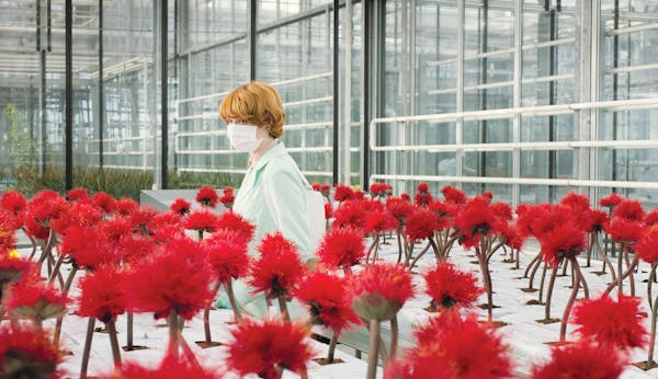 Alice Woodard (Emily Beecham) among genetically engineered flowers in "Little Joe."