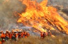 FILE - In this Sept. 2, 2017, photo, a crew with California Department of Forestry and Fire Protection (Cal Fire) battles "La Tuna" brushfire on the h