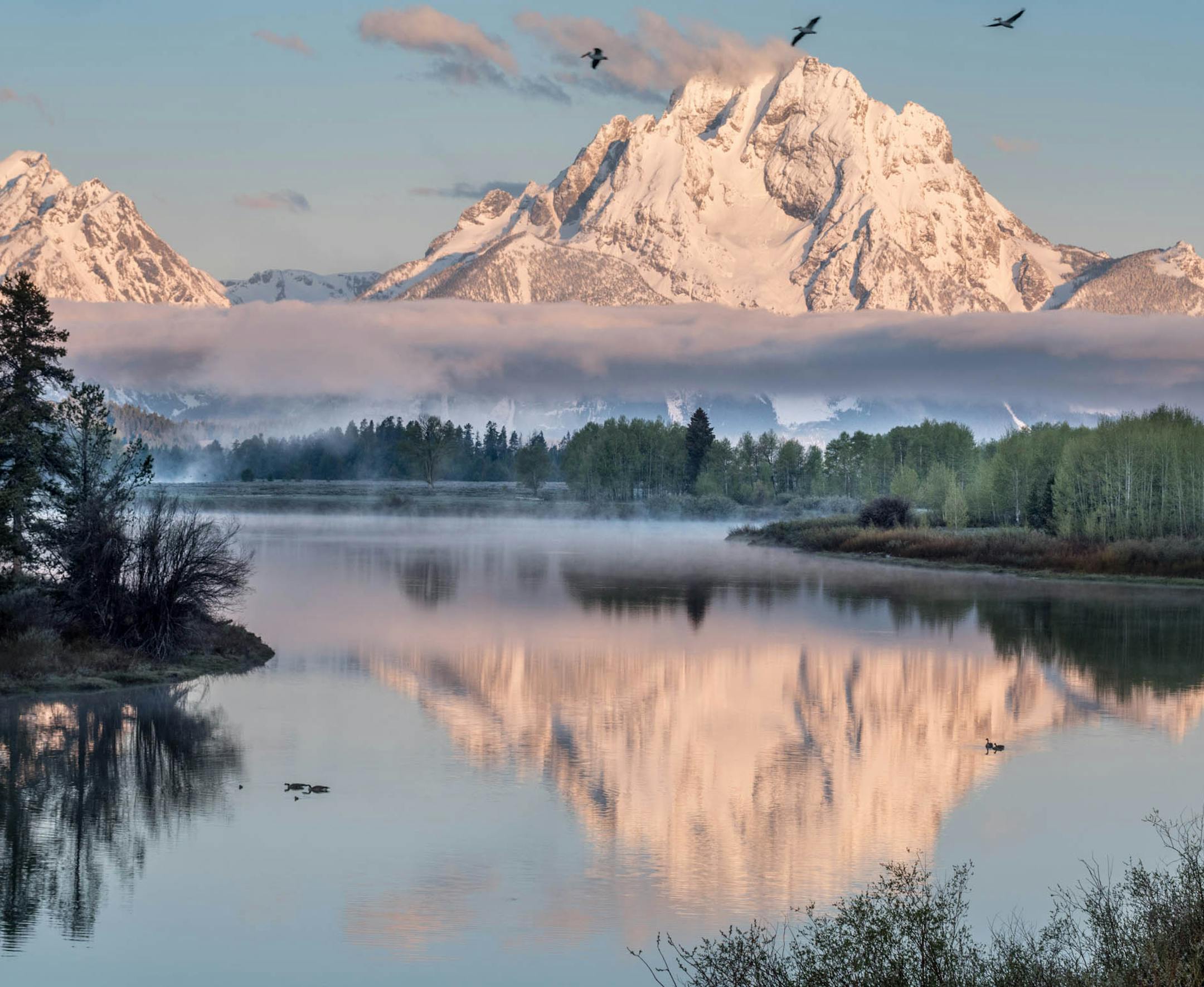 David Halgrimson, Rogers MN.
----
Tetons National Park Destination Details: I was on an Arizona Highways Photo Workshop as a Volunteer Photo Guide to the Grand Tetons in June of 2017. The day before the workshop started a friend and I went to Oxbow Bend to shot at sunrise, around 5:00am. The clouds were hanging low across the mountains and steam was coming from the lake. Some Pelicans flew by at the time I took the shot. The place: Oxbow Bend in the Grand Tetons is one of the top places and the