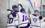 St. Thomas could be playing Division I hockey in the 2021-22 season, and the new CCHA is looking for an eighth team.