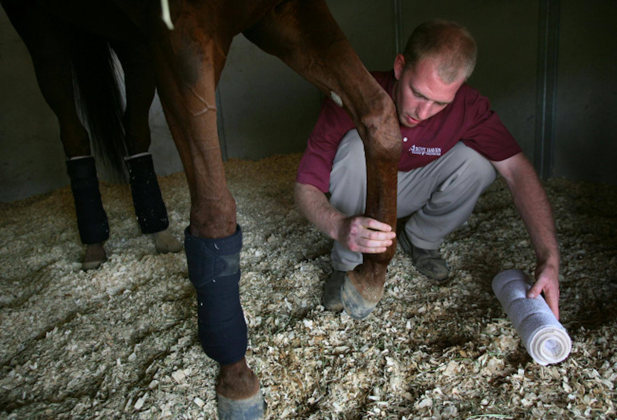 Boys' Haven Equine groom and hot walker Jeramiah Lentz wrapped Antrim County's legs after the horse won the $50,000 Claiming Crown Iron Horse race at Canterbury Park. Boys' Haven Equine, of Louisville, Kentucky, provides jobs working with race horses to boys who are leaving the foster care system.