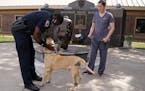 Mufasa, a mastiff mix found injured and emaciated in February outside an apartment building, got a reunion with Maplewood police officer Markese Benja