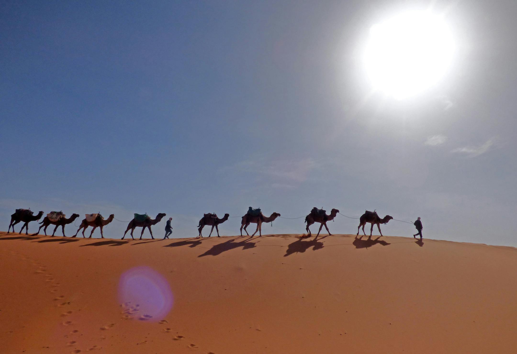 A desert sunrise from the top of a dune in the Sahara makes a lasting impression on a trip in Morocco. (Terri Colby/Chicago Tribune/TNS)