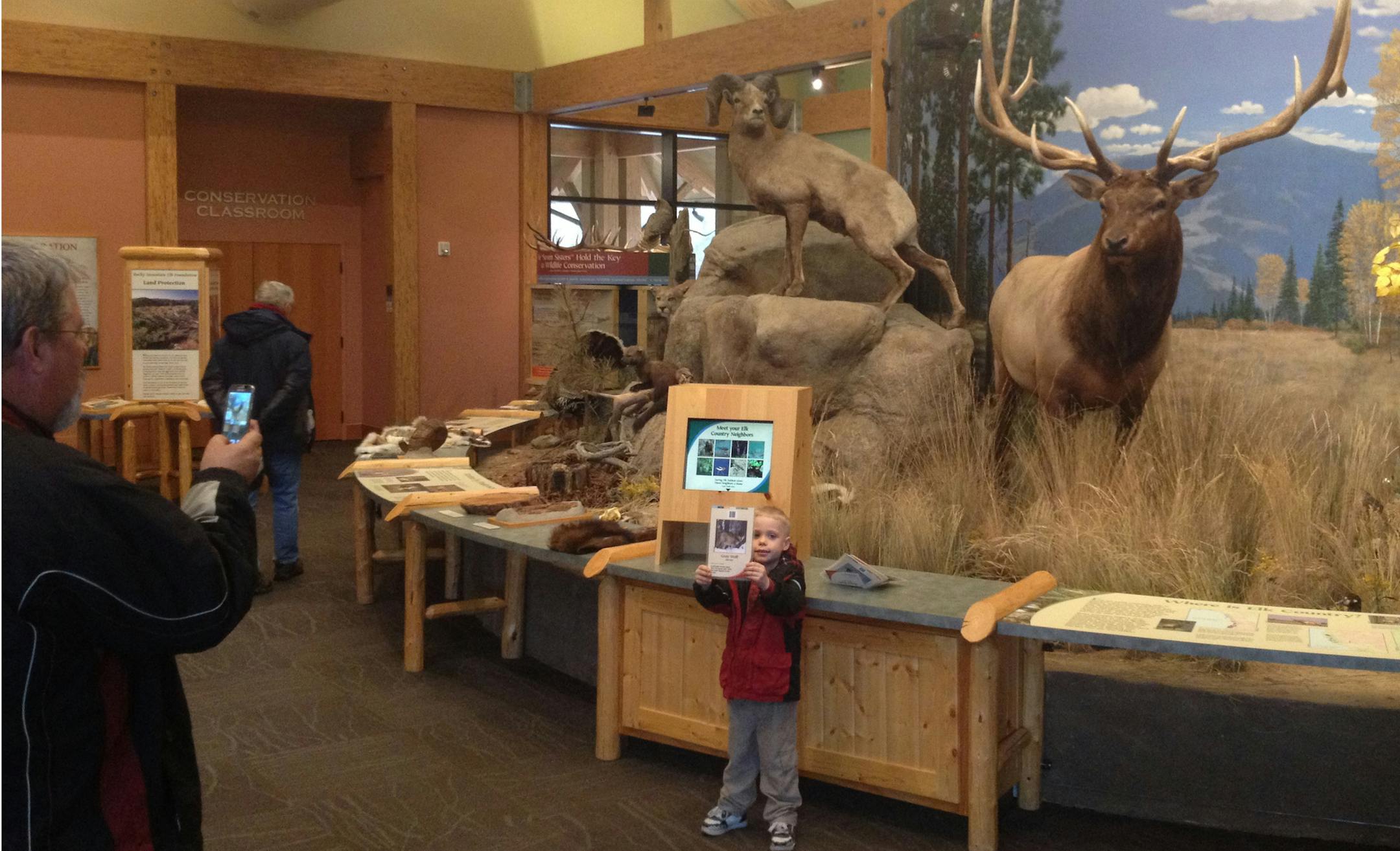 A cell-phone photo was snapped of a future big-game hunter last week at the visitor center and national headquarters of the Rocky Mountain Elk Foundation in Missoula, Mt. The group, together with the Minnesota Deer Hunters Association and some northwest Minnesota residents, hopes to increase the size of the remnant elk population in that part of Minnesota. Before white settlement, elk roamed throughout much of the state's prairies.