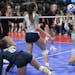 Izzy Ashburn of Champlin Park set the gall during 3A volleyball quarterfinals at Xcel Center Thursday November 8, 2018 in St. Paul, MN.