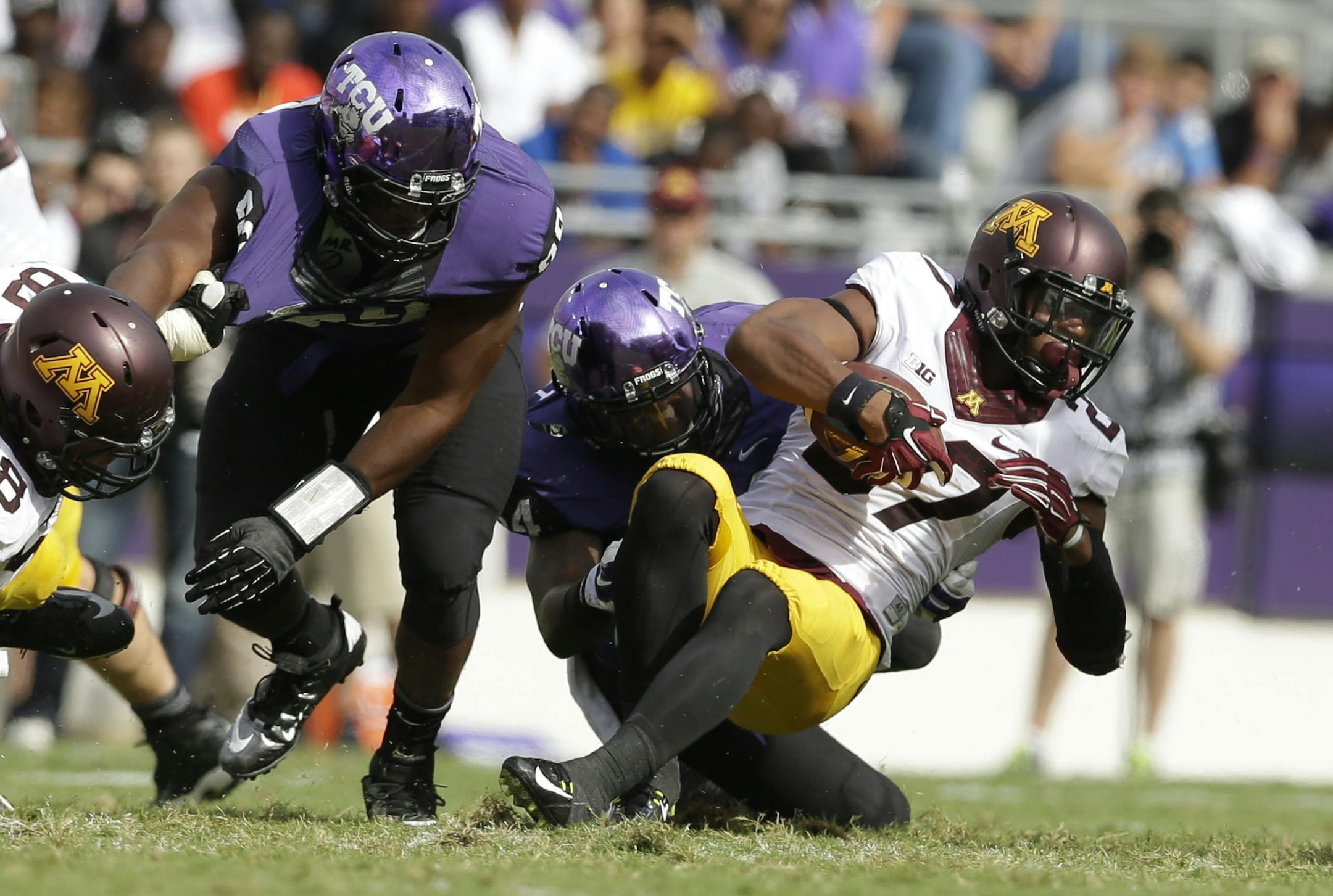 Minnesota running back David Cobb (27) is stopped by TCU defense during an NCAA college football game, Saturday, Sept. 13, 2014, in Fort Worth, Texas.(AP Photo/LM Otero) ORG XMIT: TXMO116