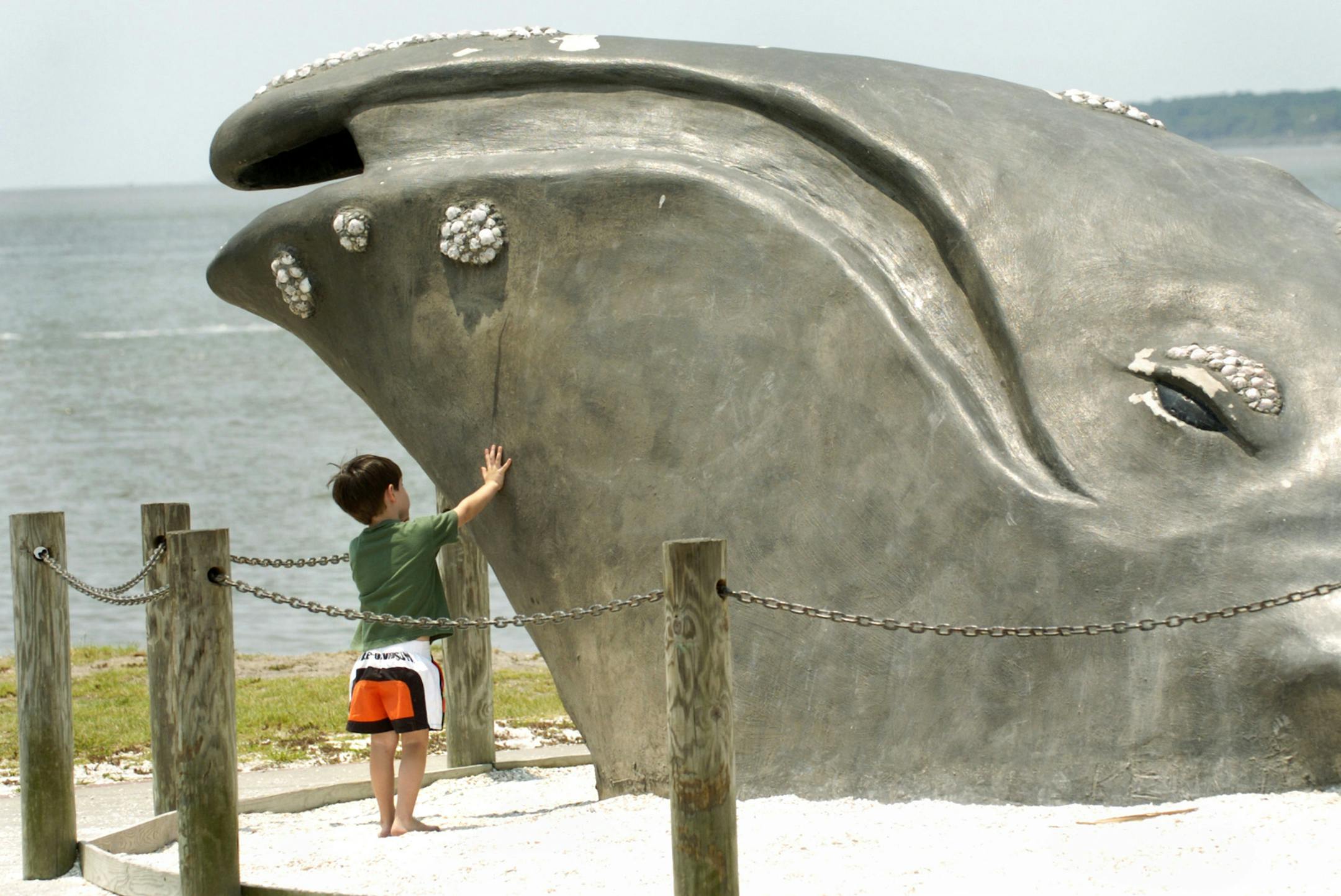 Kennedy Armstrong, 4 from St. Simon's Island, checks the temperature of the North Atlantic Right Whale monument by Keith Jennings commemorating the breeding grounds in the area on Thursday afternoon, June 23, 2005 in St. Simon's Island, Georgia. Ben Sklar/The Florida Times-Union