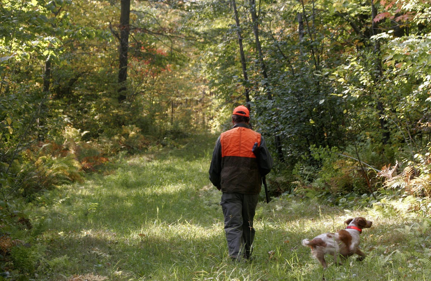 Small game hunters must wear at least one piece of blaze orange clothing above the waist during the small game season, but the requirement becomes more stringent when small game hunting during the firearms deer season. ORG XMIT: MIN2013093016321655