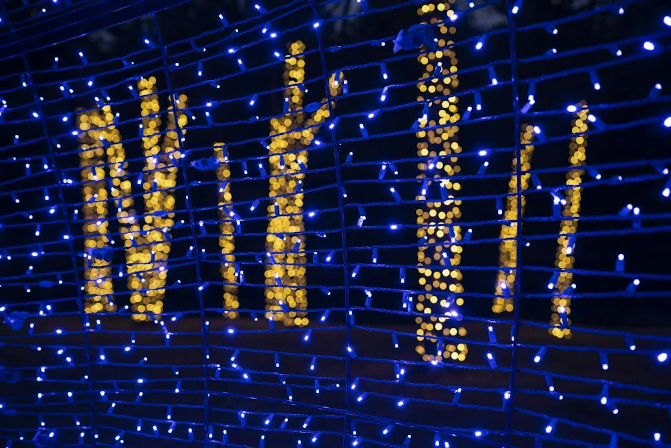 Looking through one display of blue lights to the nearby trees wrapped. in white lights.