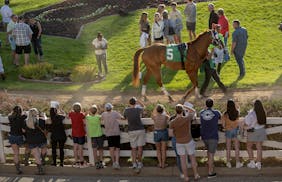 Jay Lietzau's Canterbury Park line for Monday, May 29