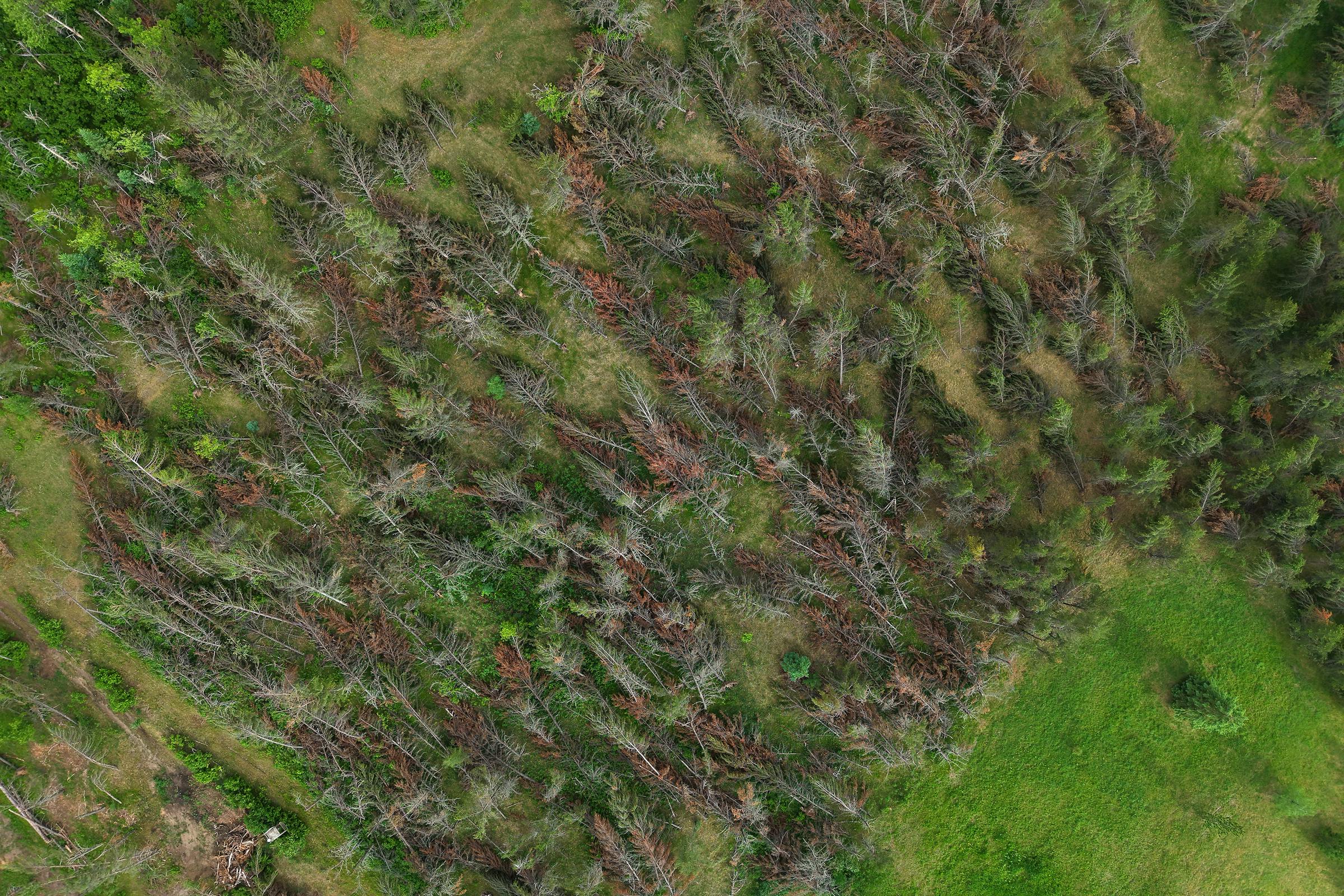 https://arc.stimg.co/startribunemedia/T6A2RRLEWJGVPK2AWNORQF4TAU.jpg?&w=1200&ar=1.91:1&fit=crop