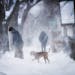 Walking the dog can be a pain when there's blowing snow, like here along Milton Street near Thomas Avenue in St. Paul on Tuesday morning.
