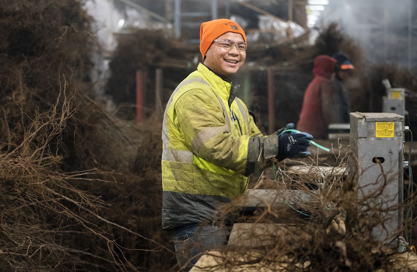 Assistant foreman Myint Soe, a Karen refugee, ties trees together in the Bailey Nurseries warehouse. ] LEILA NAVIDI &#xa5; leila.navidi@startribune.com BACKGROUND INFORMATION: Karen refugees work in a warehouse at Bailey Nurseries in Newport on Wednesday, January 16, 2019. Last year Minnesota took in just 663 refugees -- the lowest number in well over a decade, and a drastic drop from the several thousand a year that's become the norm.