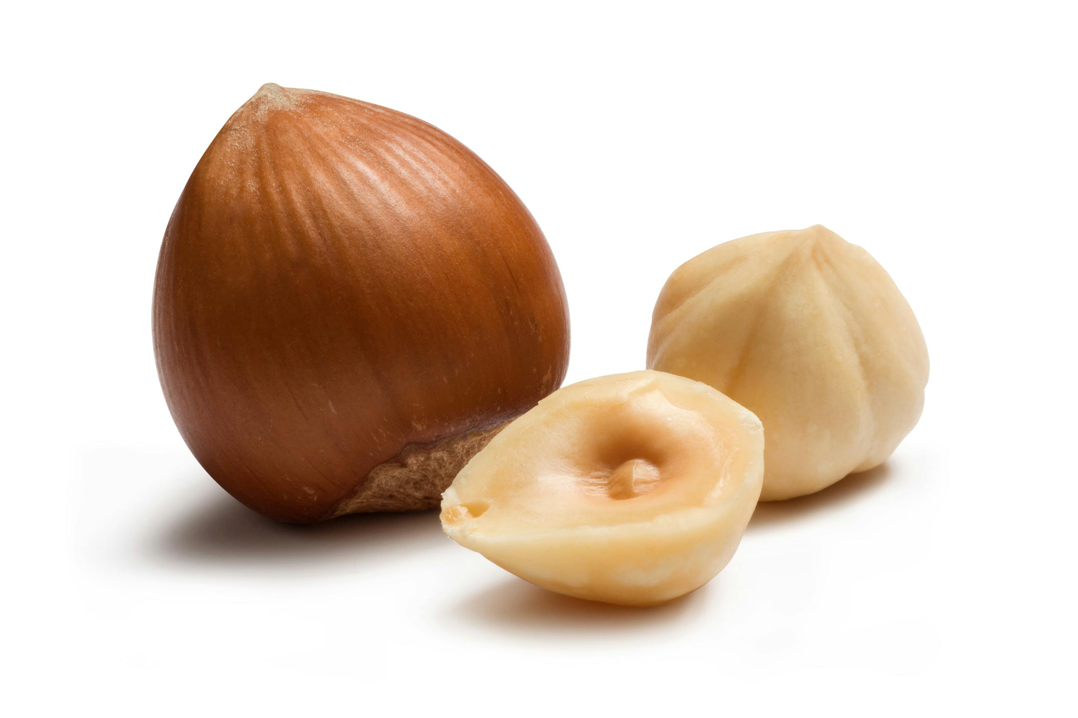 Hazelnuts isolated on white background. Macro, studio shot.