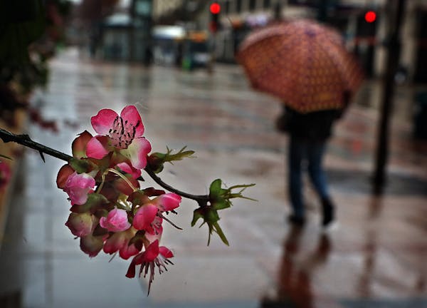 Silk blossoms (made of synthetic materials) offered a bit of hope for spring and added color for pedestrians as they walked along Nicollet Mall near 1