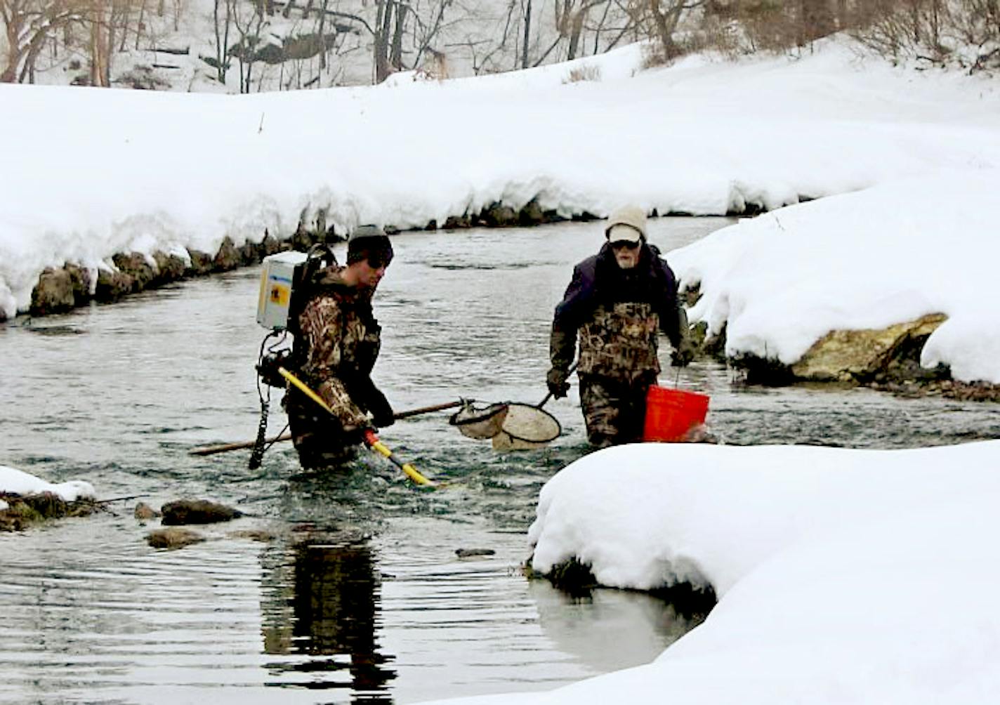 Researchers at the University of Minnesota are studying the winter food supply of trout in the Driftless Area of southeast Minnesota.