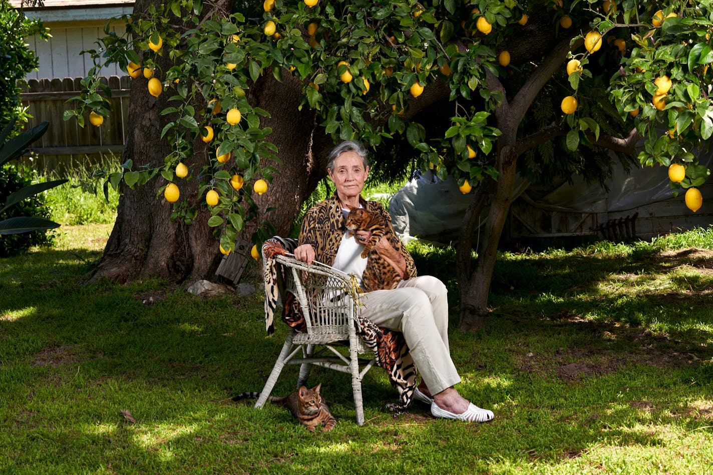 Judy Sudgen and her toygers at her home in Los Angeles this spring.