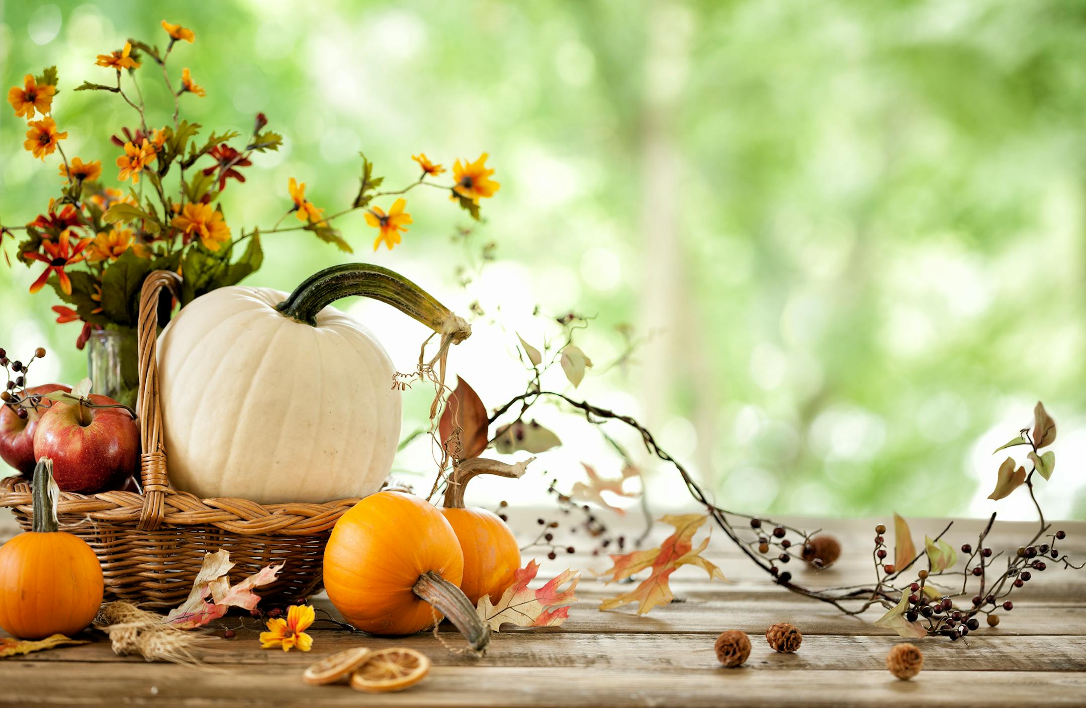 Autumn pumpkins and gourds against a natural background