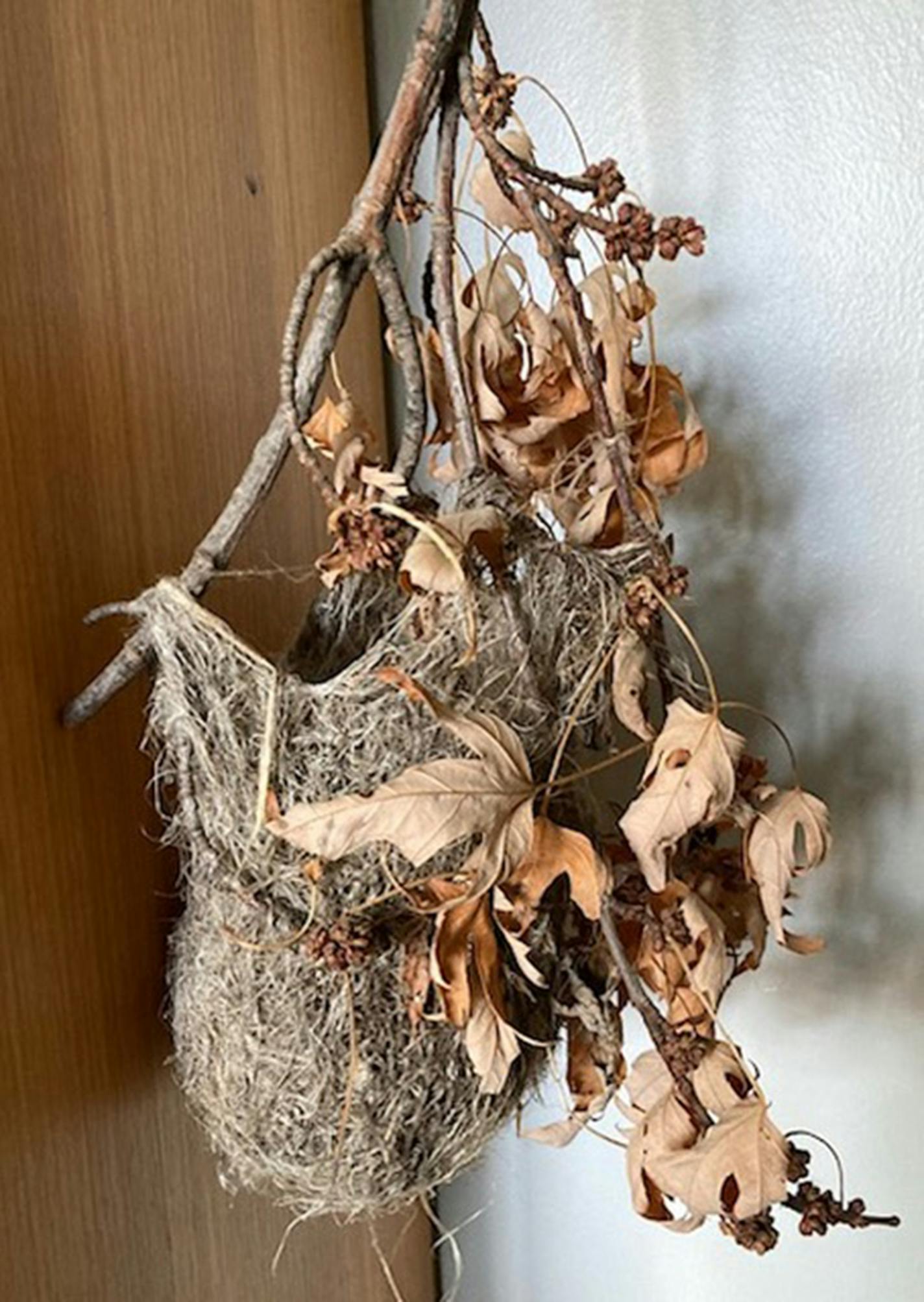 An elongated cup-shape oriole nest made of mostly horsehair hangs from a branch with some leaves.