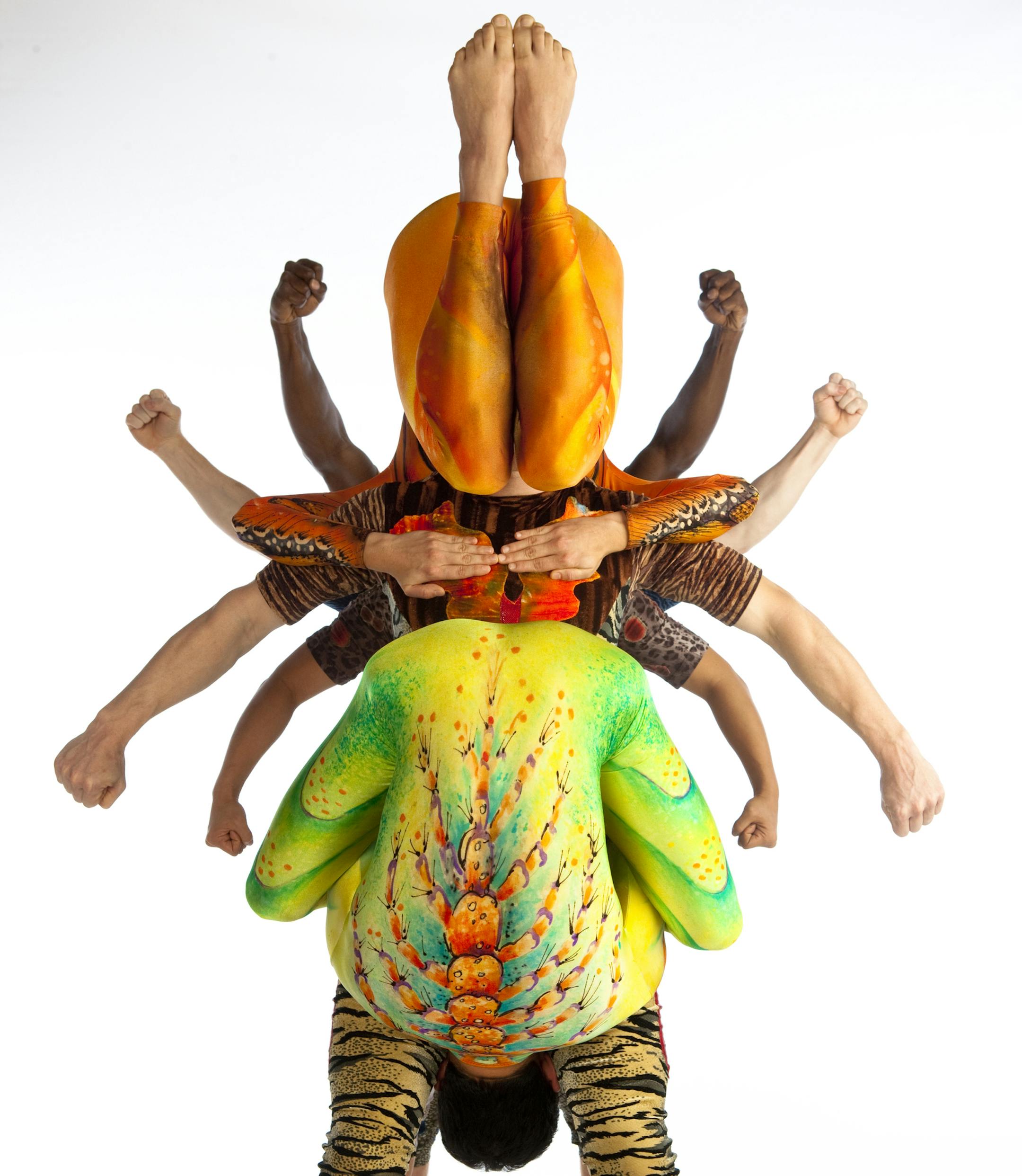 Pilobolus Photo Credit: John Kane