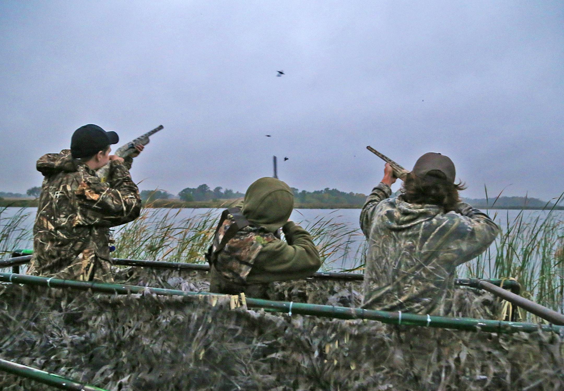 Trevor Unruh, left, Riley Mcalpine and Ryder Beckman drew down on a few blue-winged teal Saturday morning, opener of the 2016 Minnesota duck season. The three were hunting Pelican Lake near St. Michael.