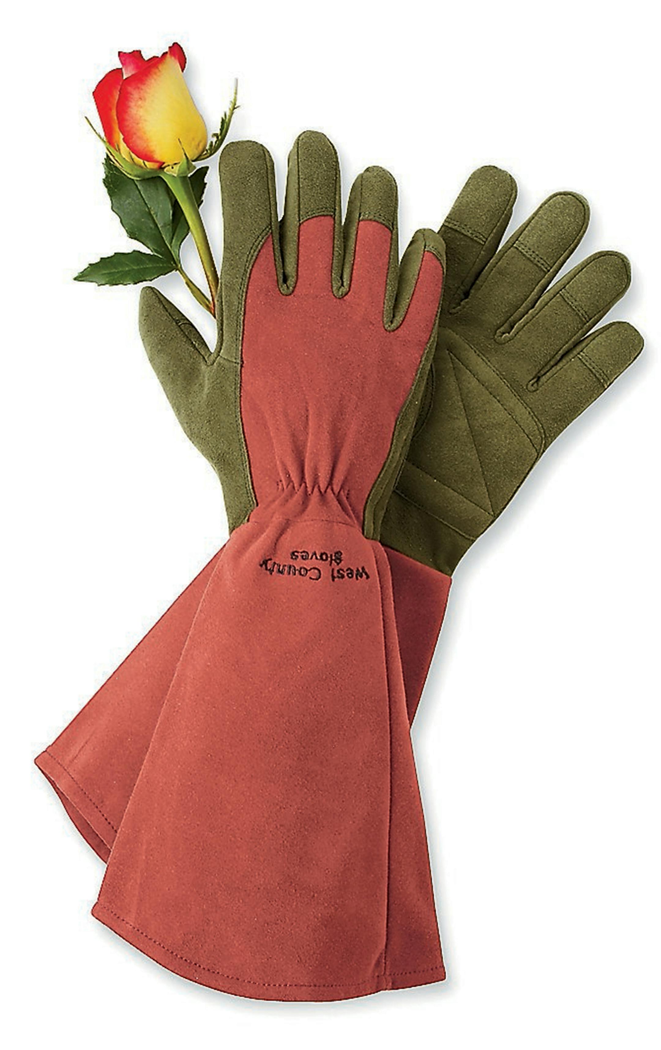 Covering the whole forearm, these handsome gloves from Gardener's Supply Co. will let a gardener really dive into a thorny rosebush or other scratchy shrub. And since they're synthetic, they can be machine-washed and -dried without stiffening. Miracle Fiber Rose Gloves, $44.95, gardeners.com. (Photo courtesy Gardener's Supply Co./TNS) ORG XMIT: 1177062