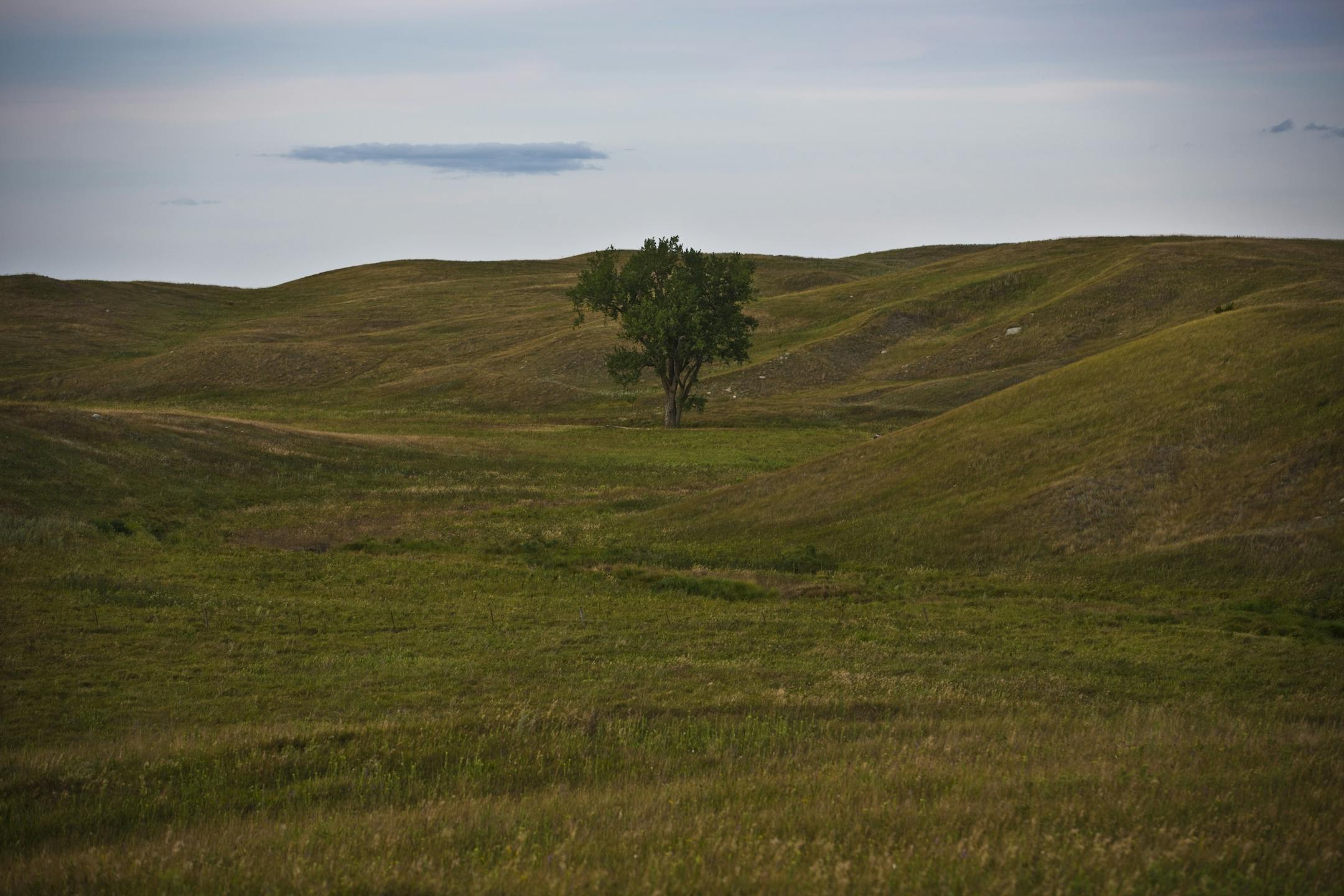 Native prairie near Clear Lake, South Dakota
