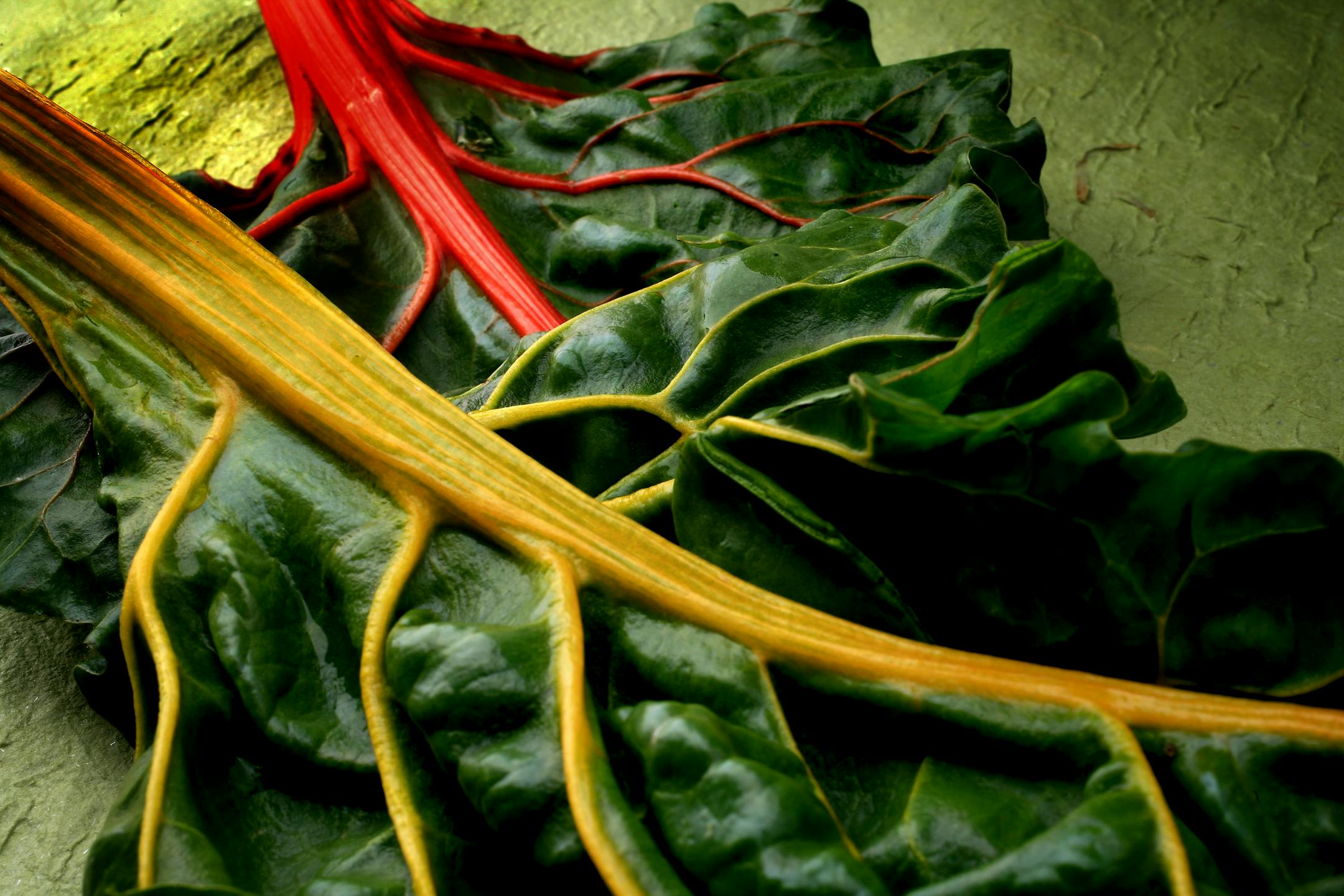 Studio illustration of a chard for a story on Thrifty foods.