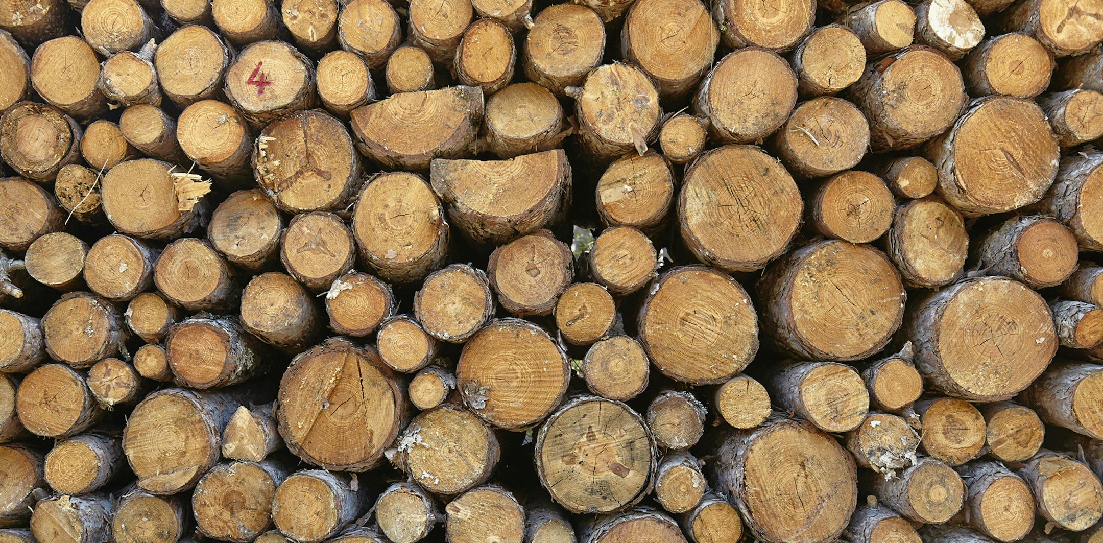 iStockphoto.com ORG XMIT: MIN1310161054366991