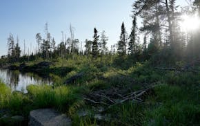 Lake One in the Boundary Waters.