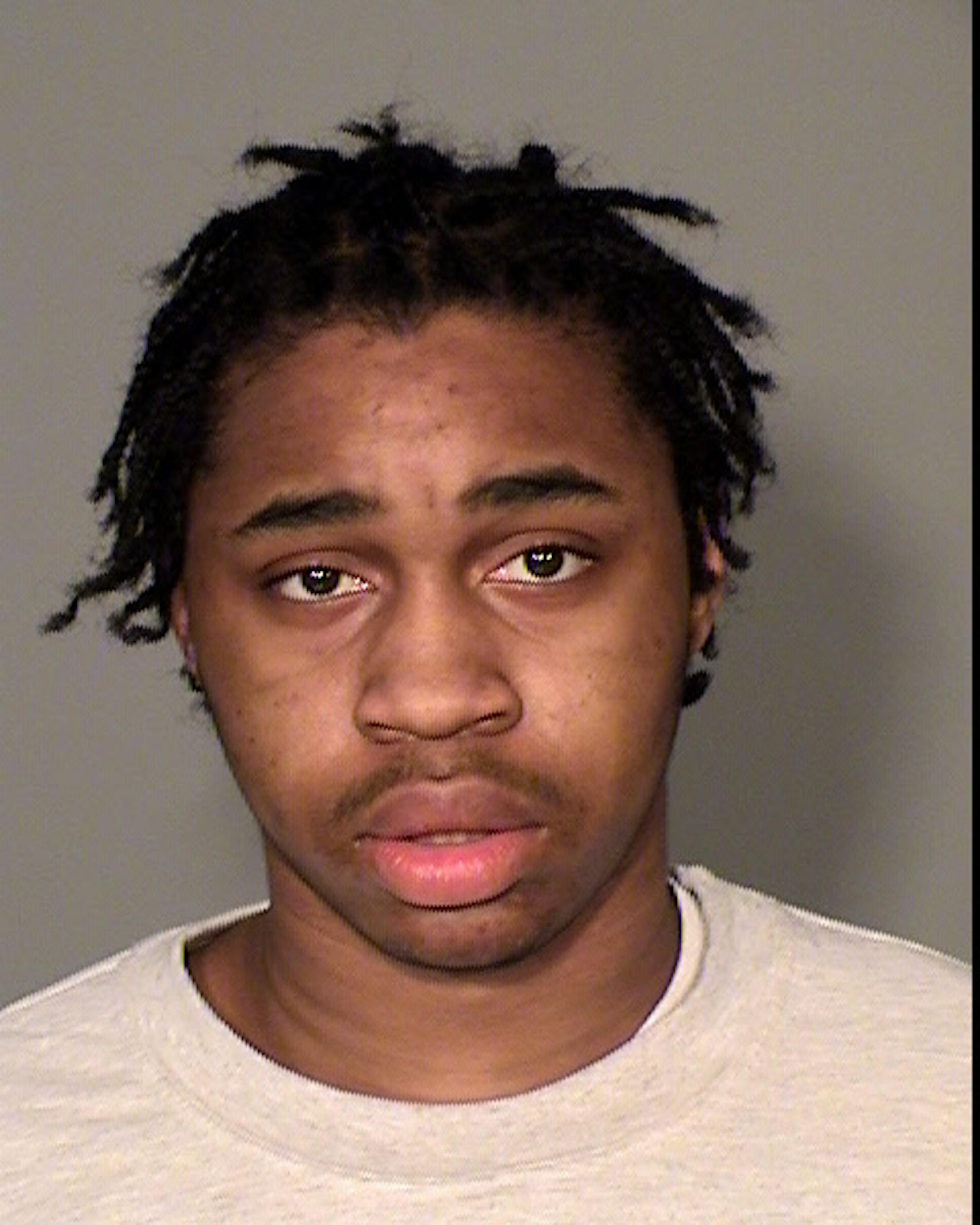 Charles K. Redding pleaded guilty to launching the first punch that sparked a violent, near-fatal attack on Ray Widstrand on St. Paul's East Side in 2013.