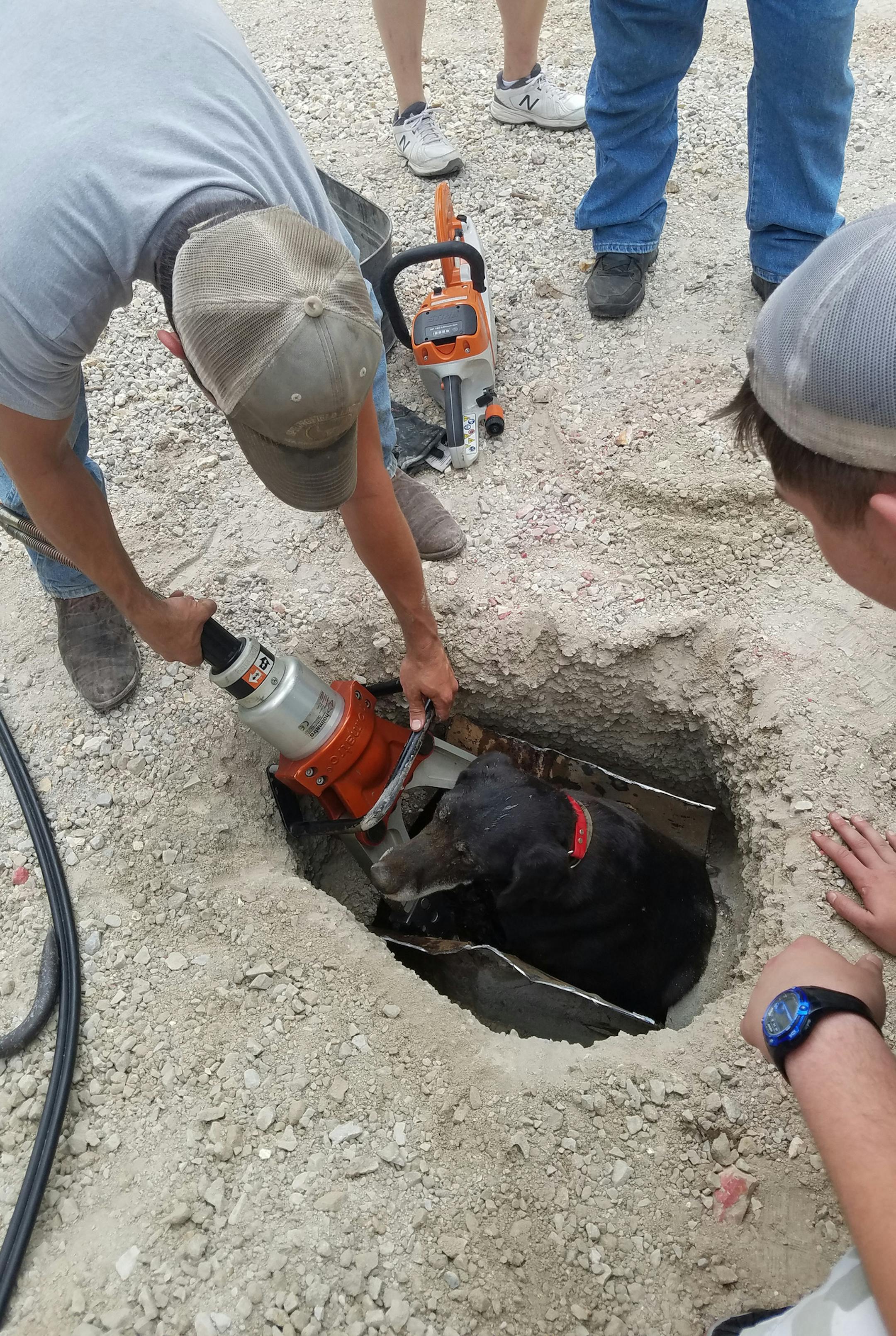 The Central Taney County Fire Protection District rescued a dog, Jack, that had been stuck in a culvert for several days. (Central Taney County Fire Protection District)