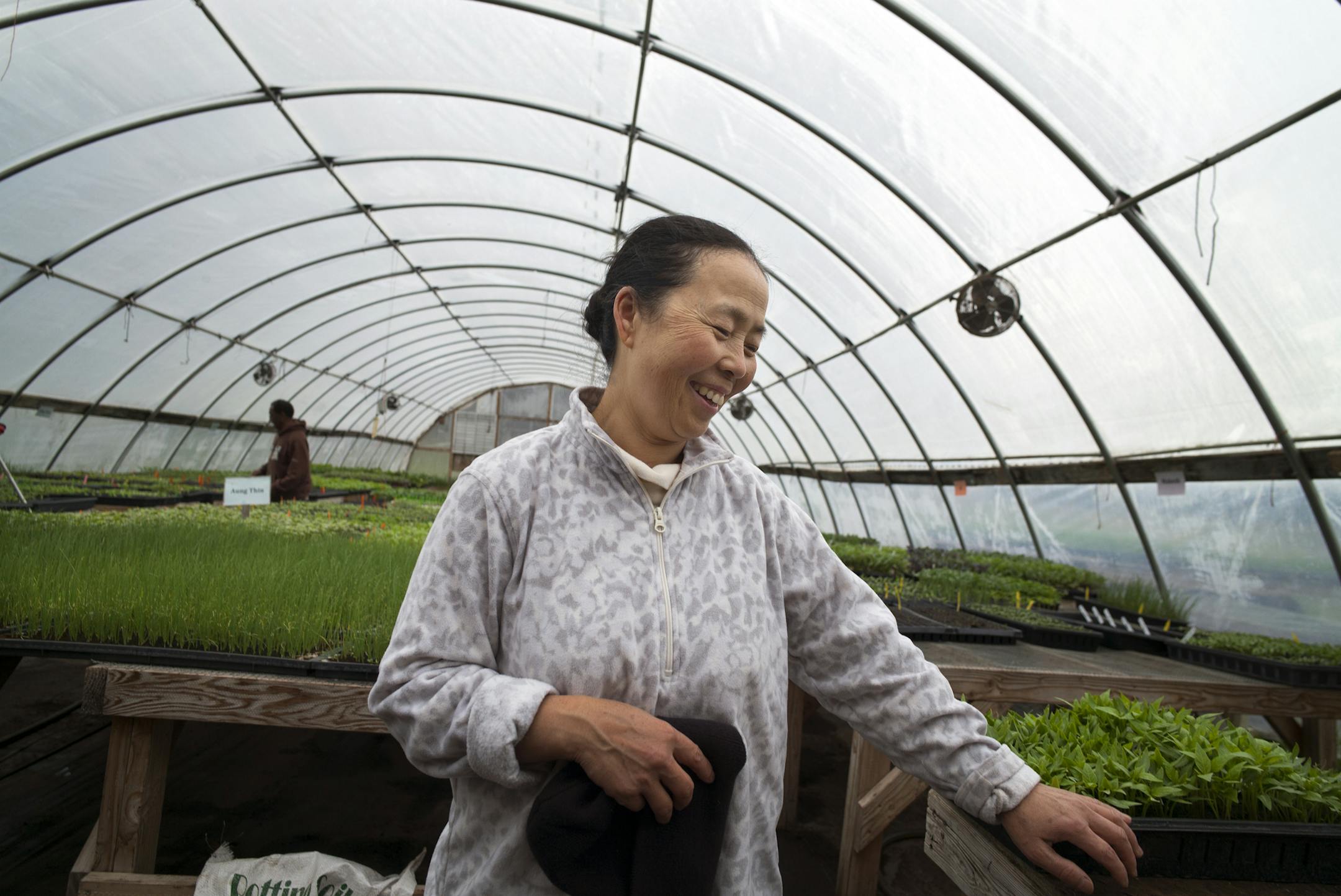 At the greenhouse at Big River Farms at Marine on St. Croix, May Lee, a farmer herself gives coaching to young farmers on how to get their crops started.] Richard Tsong-Taatarii/rtsong-taatarii@startribune.com ORG XMIT: MIN1504201931063978