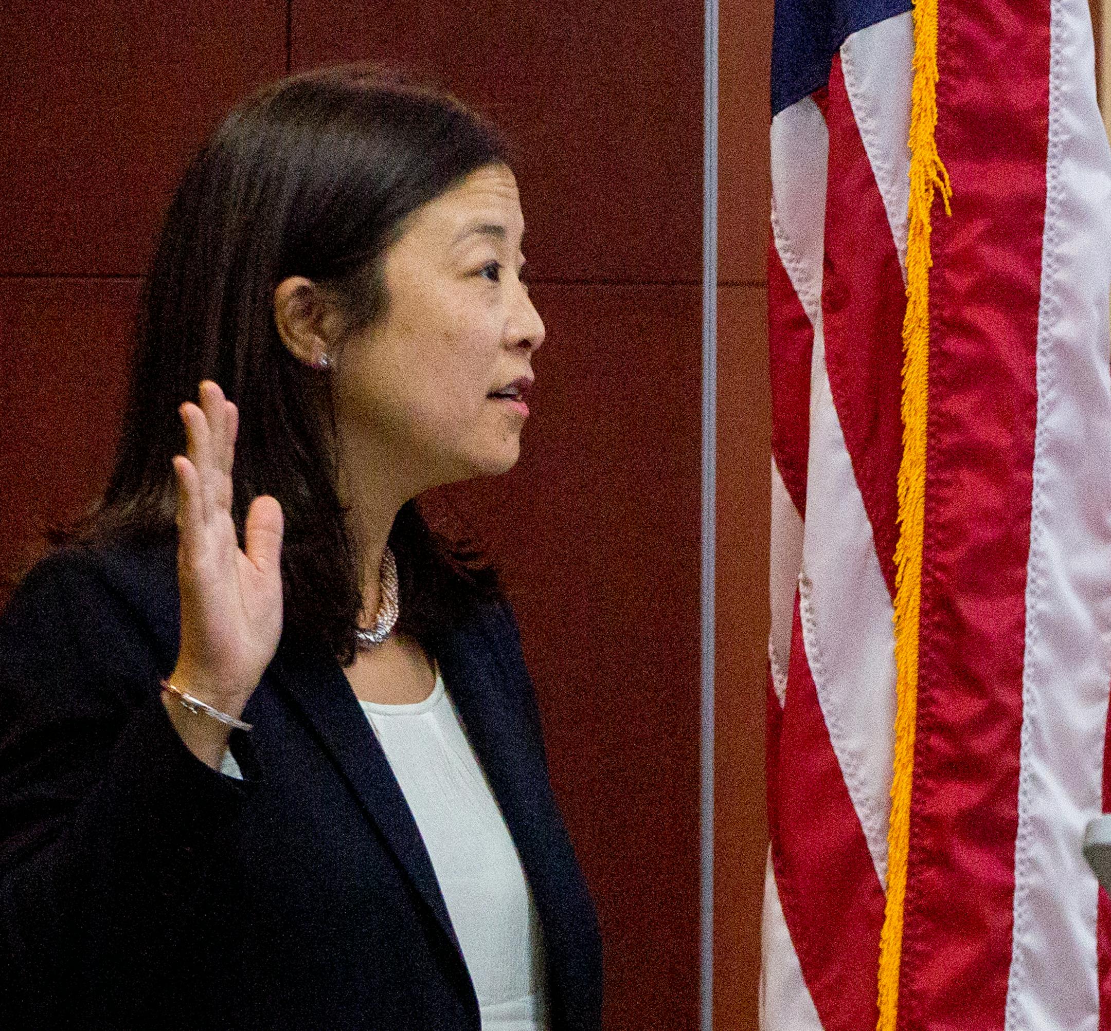 Alene Tchourumoff is sworn in by Gov. Mark Dayton as the new head of the Metropolitan Council on Monday.