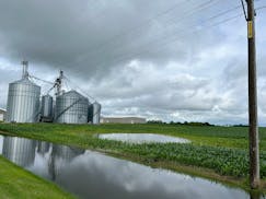 A flooded corn field near Wells, Minn., on Saturday, June 22, 2024.