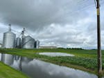 A flood corn field near Wells, Minn., on Saturday.