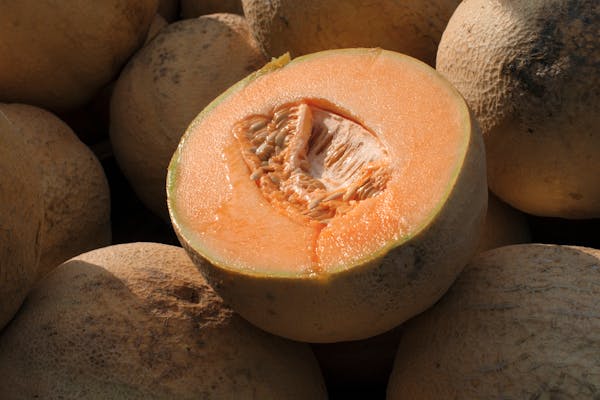 U.S. health officials recalled three more brands of whole and pre-cut cantaloupes on Friday as the number of people sickened by salmonella more than d
