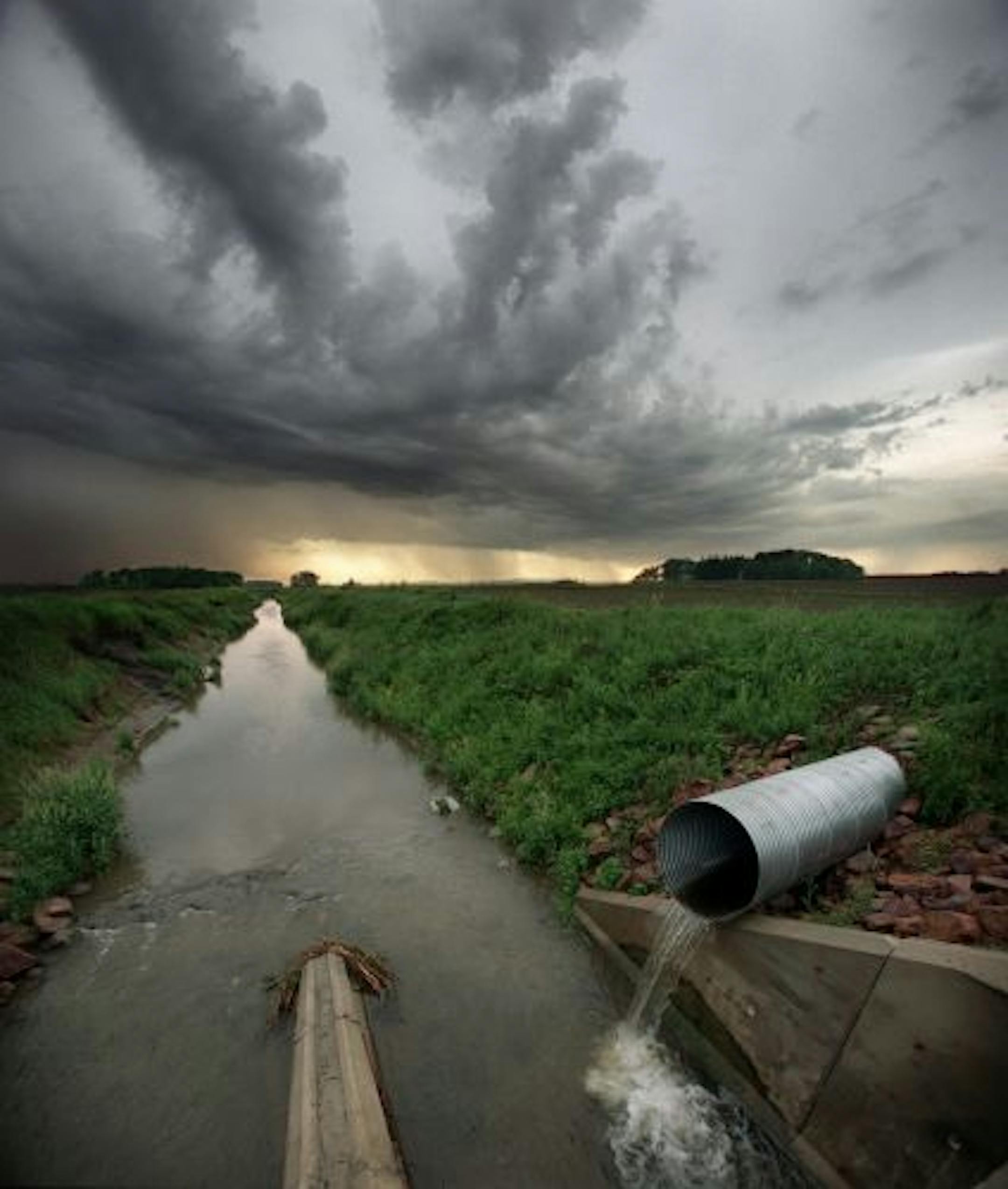 The Minnesota River basin, once a healthy, balanced ecosystem now functions like an overloaded and unstable drainage ditch for farms and a toilet for rural Minnesota. Barely recognizable as a natural stream, the Middle Branch of the Rush River West of Le Sueur has been straightened and drain tiles have been installed creating a system that flushes water from the fields in record time carrying with it tons of sediment, fertilizer, manure and human waste that have contributed disproportionately to