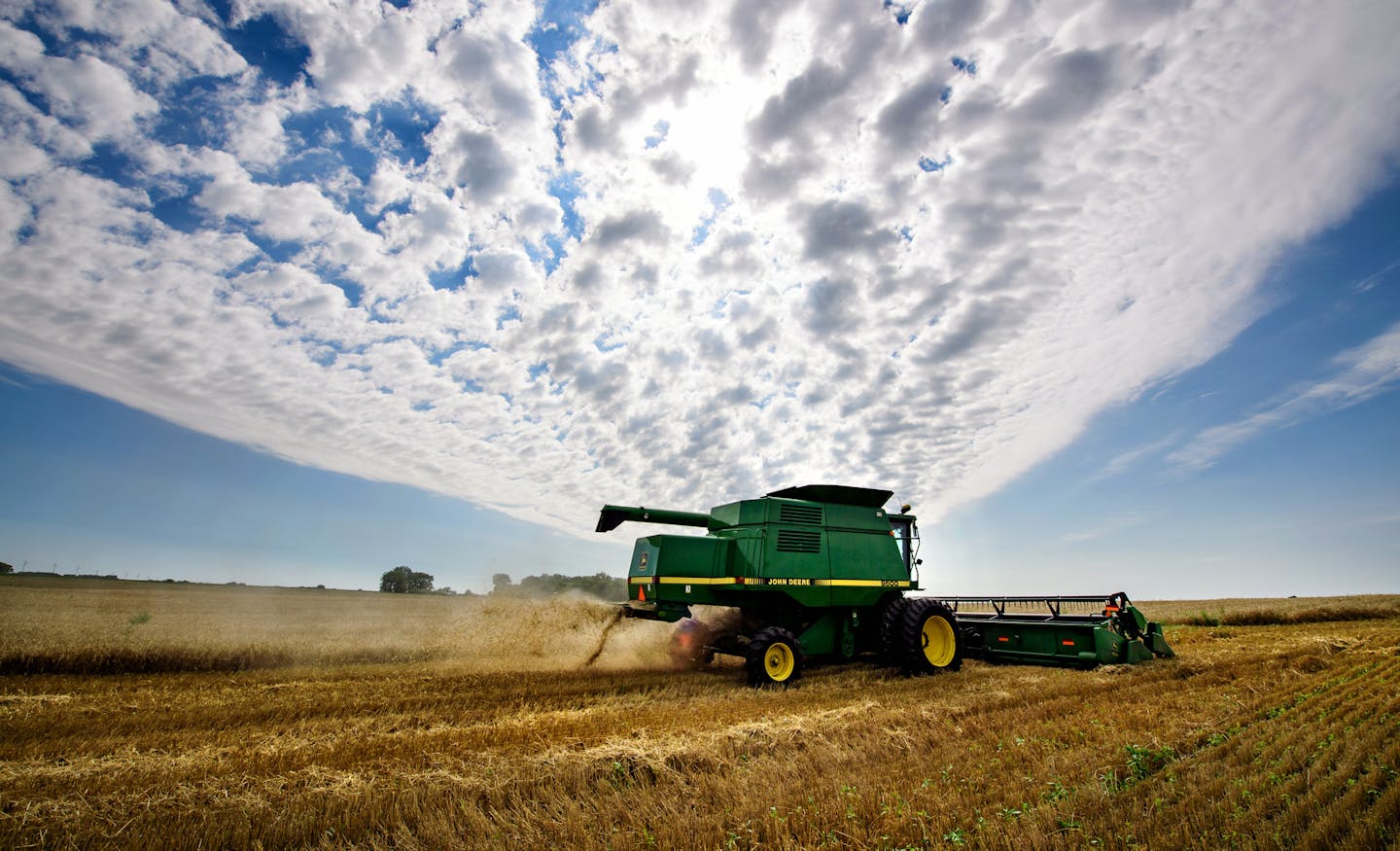 Jack Weber drove his wheat combine on his field. The wheat doesn't bring much cash but it does improve the health of his soil. ] GLEN STUBBE &#xa5; glen.stubbe@startribune.com Wednesday, August 23, 2017 Trip to western Minnesota with Glen Stubbe to interview, photograph and film the harvesting of wheat at Jack Weber's farm. Wheat doesn't make him money but it does improve the health of his soil. This crop rotation is one of several steps Weber uses to make the land better and is in line with wha