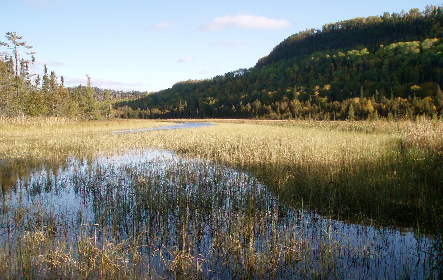 Photo shows the Royal River with the cliff above. The snowmobile trail would run along the bench along the cliff, in a line between the middle set up trees and the treeline along the top of the hill. Photo credit: Rick Brandenburg/Special to Star Tribune